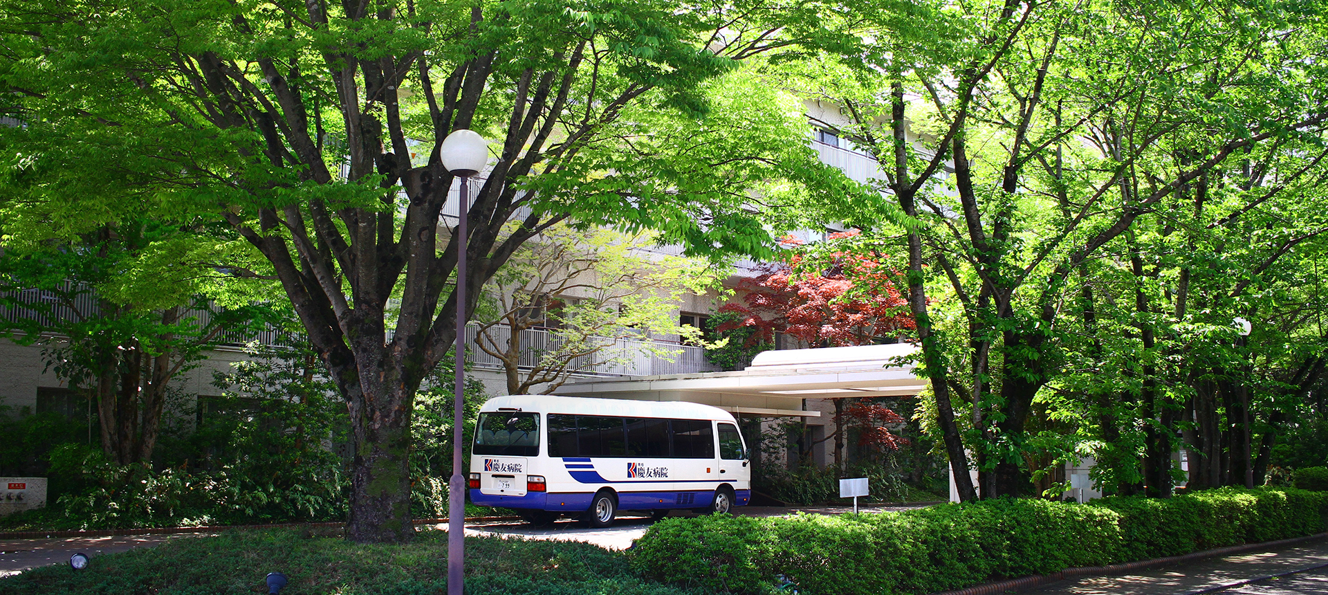 青梅慶友病院の近所の写真