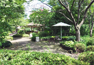 【遊歩公園】四季折々の花・植物をお楽しみ頂けます