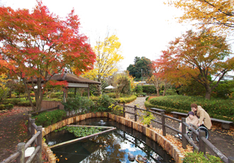 秋の遊歩公園