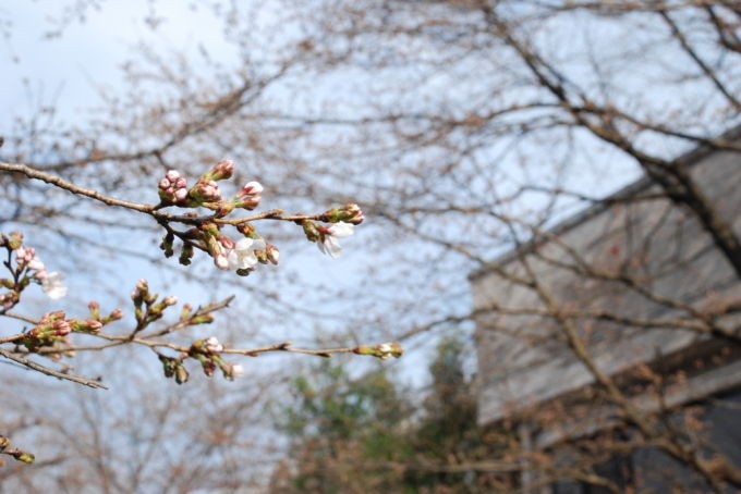 20140329-1