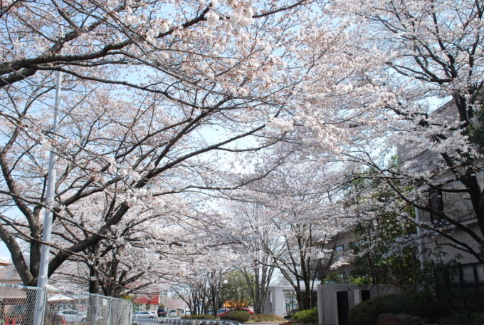 20140402-1