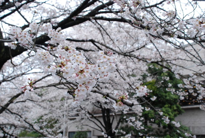 20140404-1