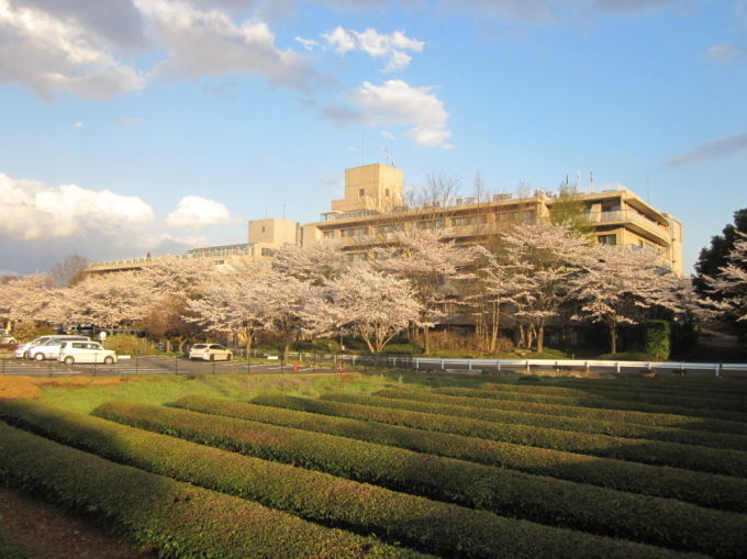 20140405-1