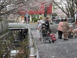 花吹雪