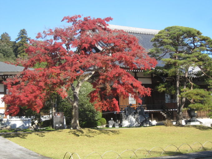 20141118-1